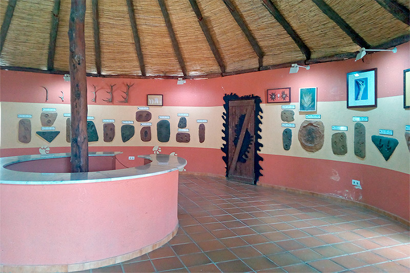 museo-huella-800x533.jpg