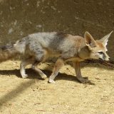 Reserva Zoológica
