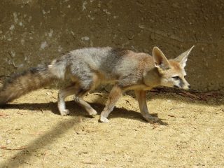 Reserva Zoológica