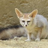Reserva zoológica