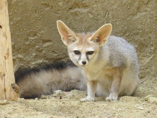 Reserva zoológica