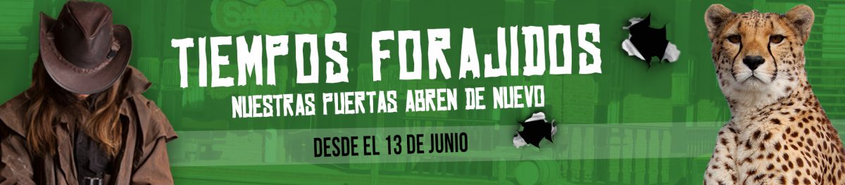 oasys_guepardo_reapertura_1920x420-1200x263.jpg
